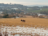 Novoroční pochod Hořice 1.1.2021